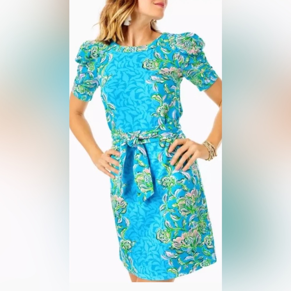 Lilly Pulitzer Harriet Dress (never worn)